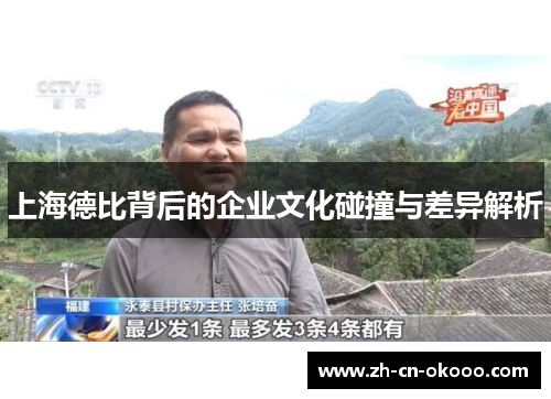 上海德比背后的企业文化碰撞与差异解析