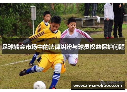 足球转会市场中的法律纠纷与球员权益保护问题